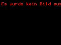 Neujahrsanschießen am Meringer Marktplatz 1. Januar 2017_1